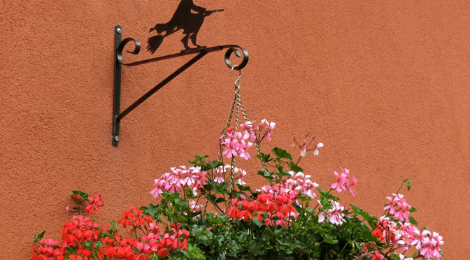 エギスハイムの花２