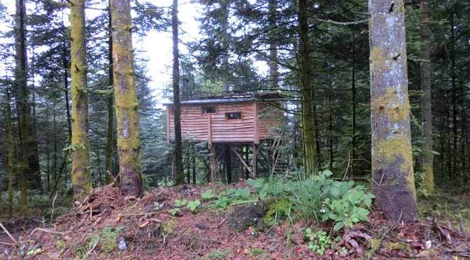 ヴォージュのツリーハウス