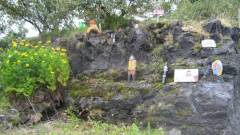 ハプナルフョルヅルの妖精たち